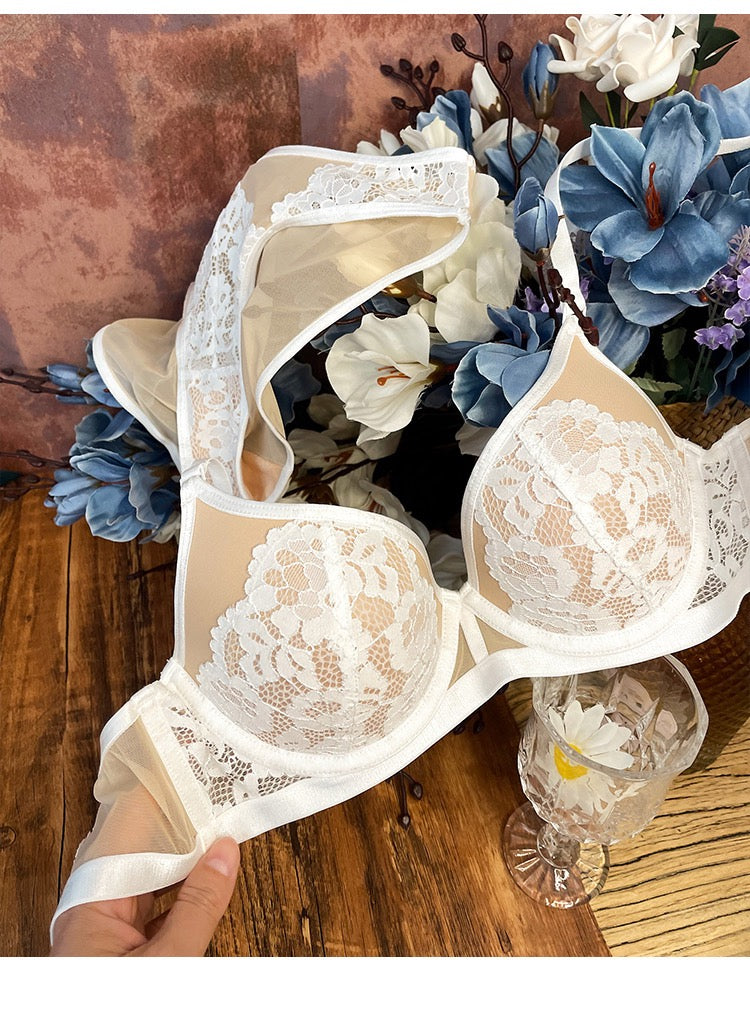 【Thin Sponge Bra】Dolphin