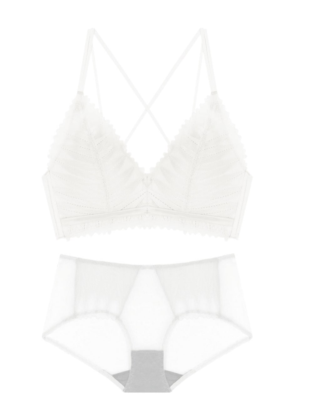 【Push Up Bra】Yanis