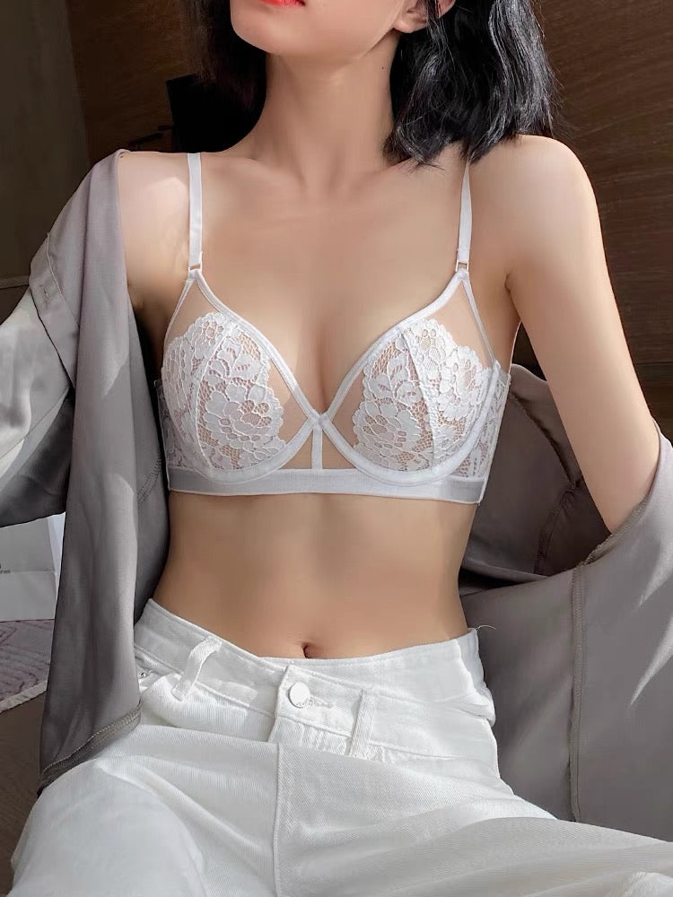 【Thin Sponge Bra】Dolphin