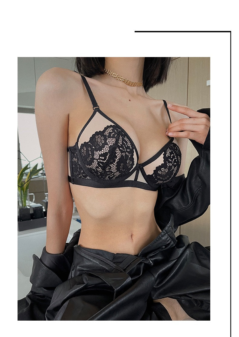 【Thin Sponge Bra】Dolphin