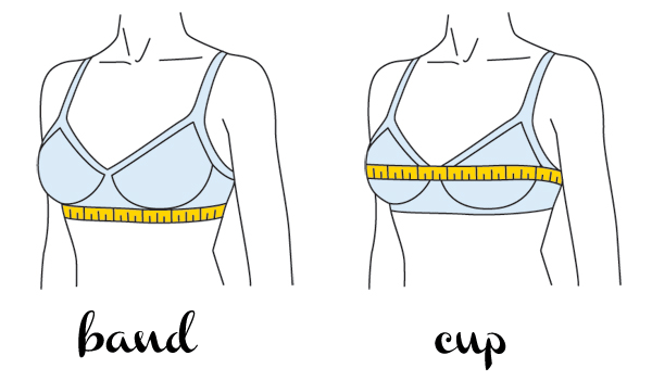Measure Your Bra Size and Cup Correctly