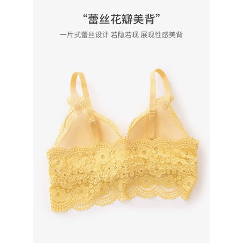 【NON PUSH UP BRA】Paris