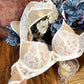 【Thin Sponge Bra】Dolphin