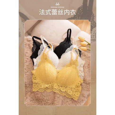 【NON PUSH UP BRA】Paris